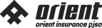 Orient Insurance PJSC logo - corporate video client